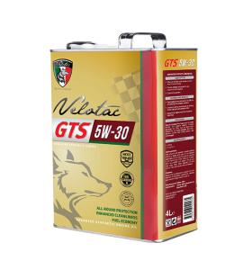 AUTO GTS 5W30